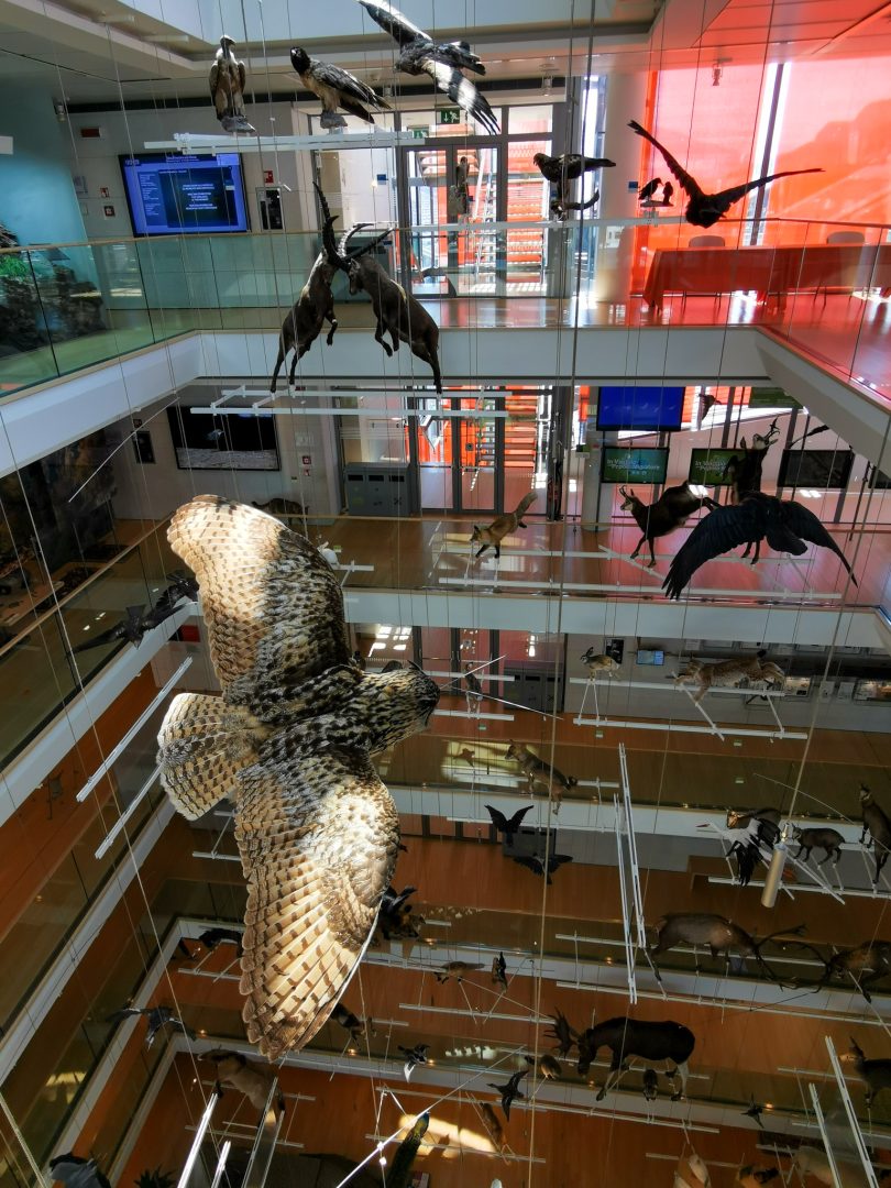 MUSE Science Museum in Trento