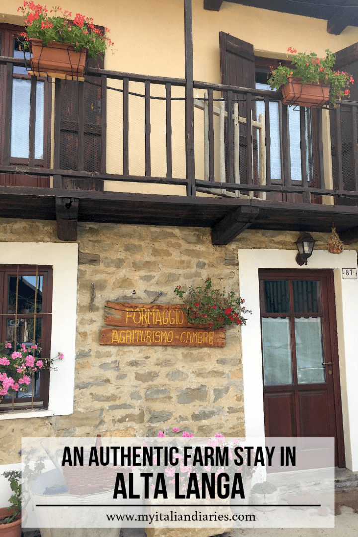 Piemonte-alta-langa-pascoli-di-amaltea