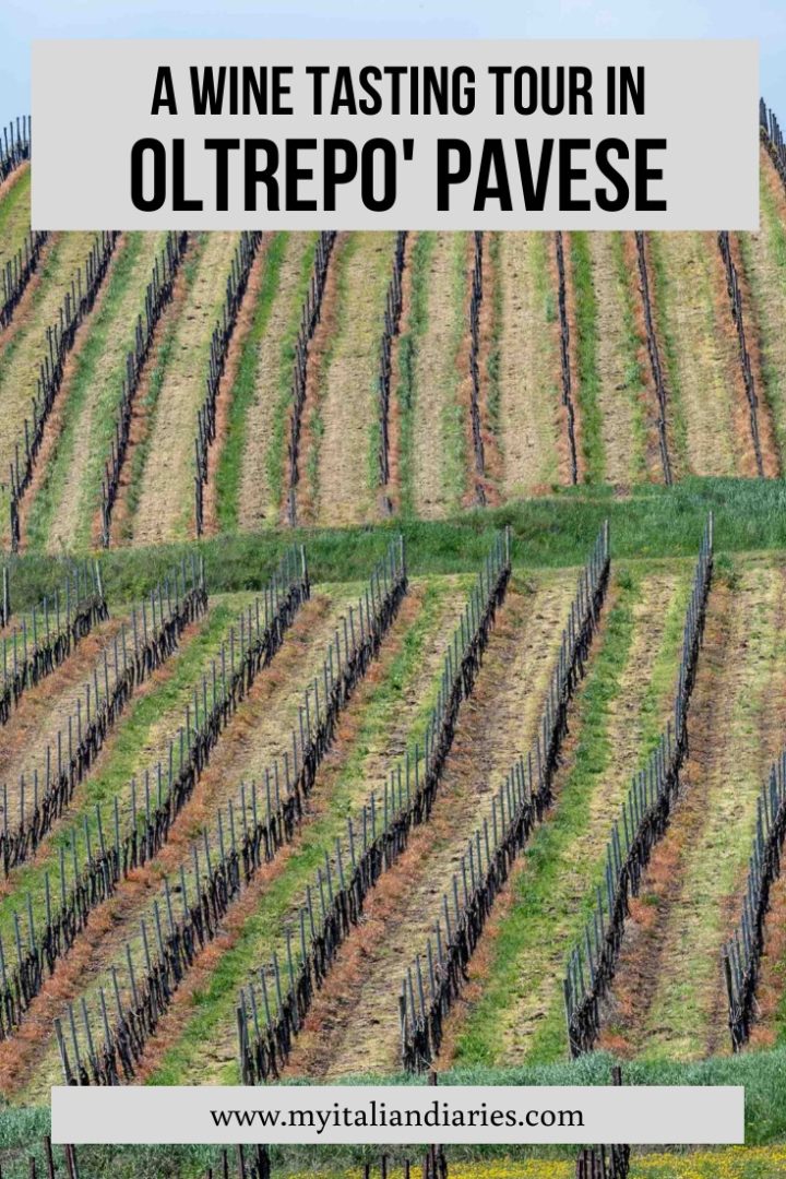 A wine tasting tour in Oltrepò Pavese