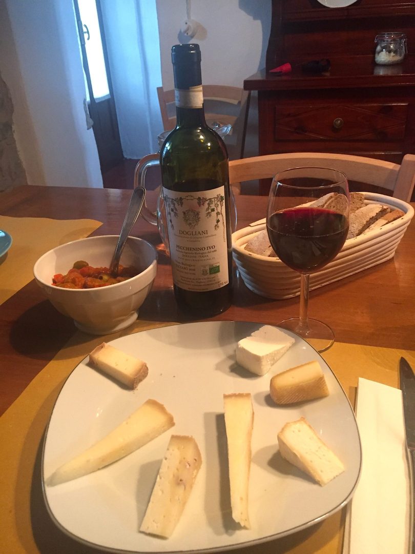 Piemonte-alta-langa-pascoli-di-amaltea