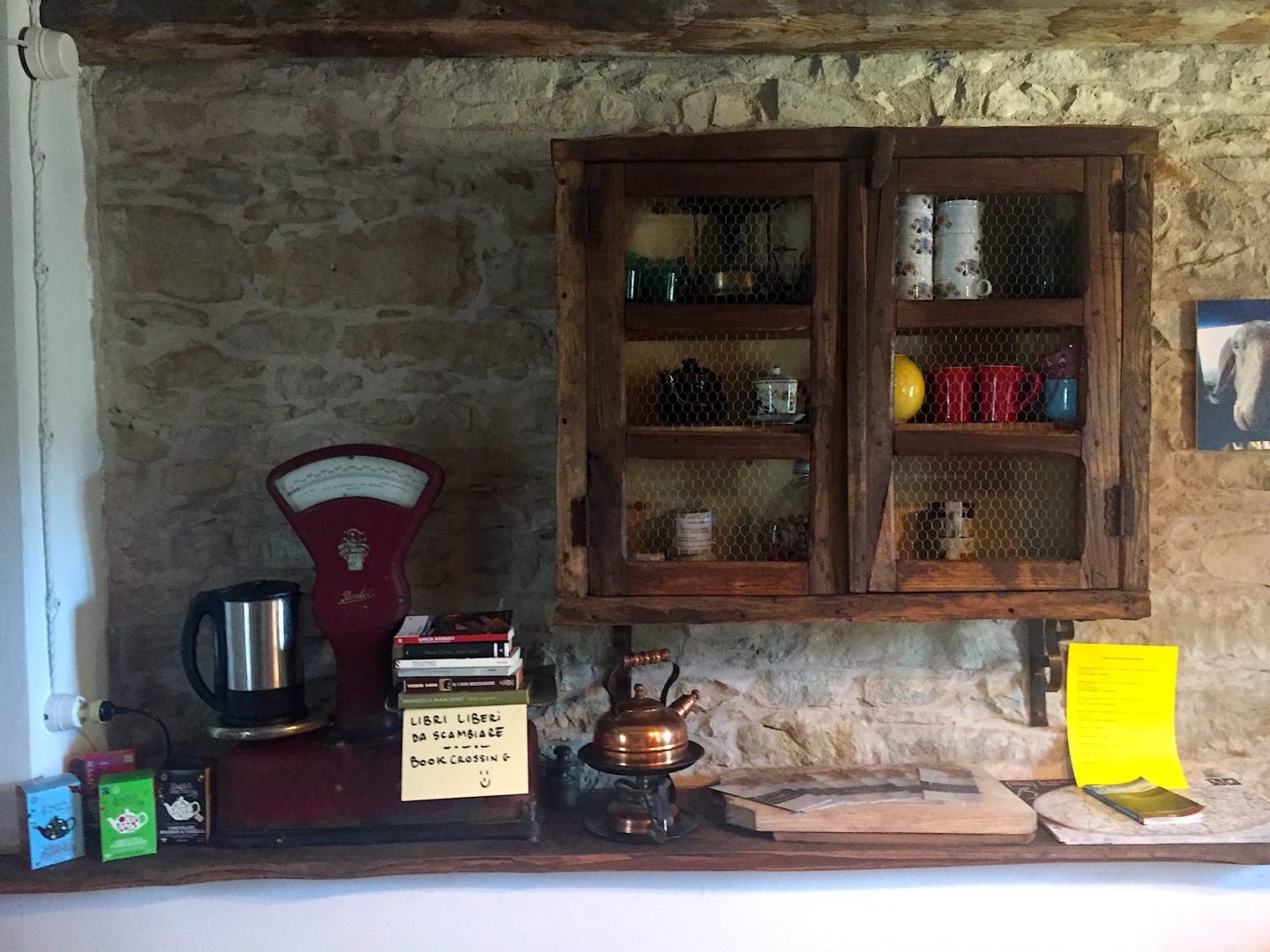 Piemonte-alta-langa-pascoli-di-amaltea