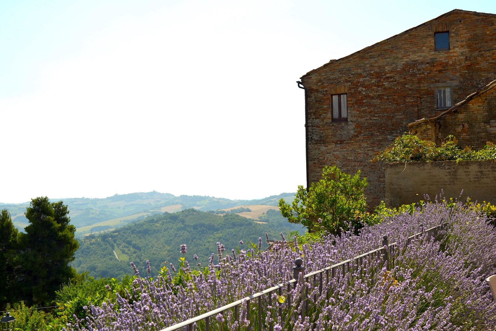 Le Marche-montappone