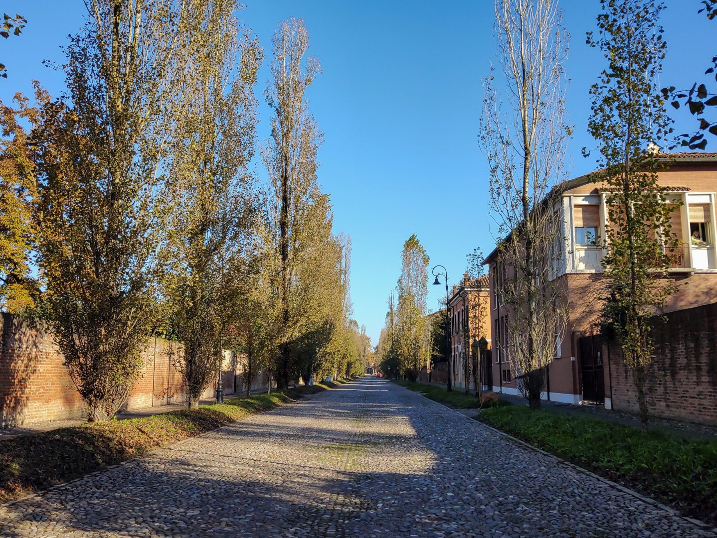 Cobblestone street flanked by tall trees and pretty houses in Ferrara